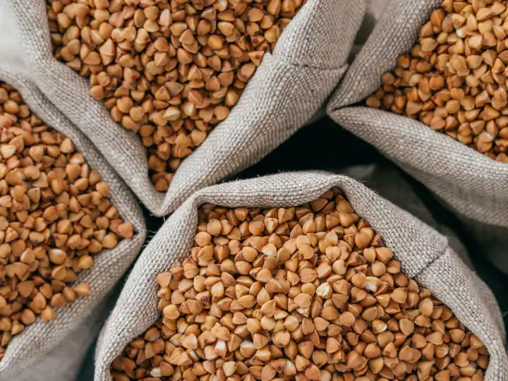 Bulk organic corn and soy ingredients