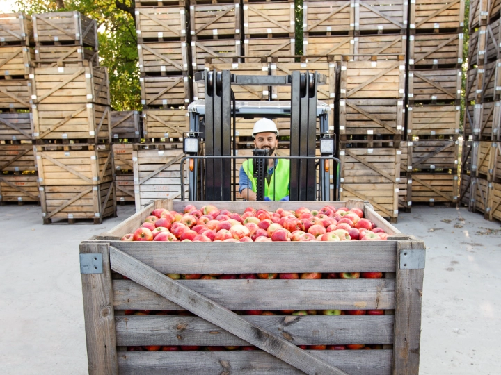 Organic products moving through an import and distribution facility